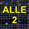 12 ALLE 2